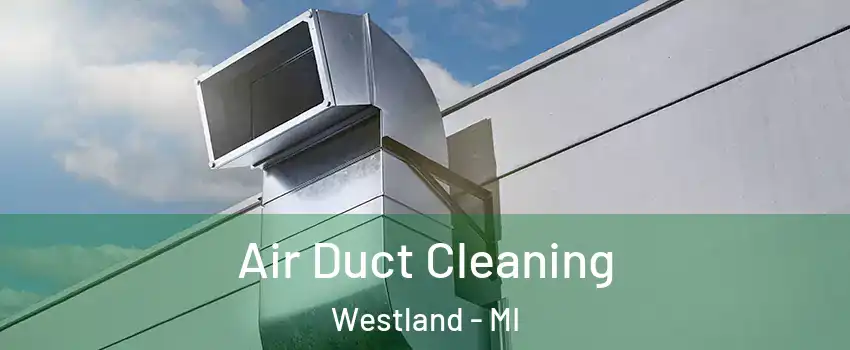  Air Duct Cleaning Westland - MI