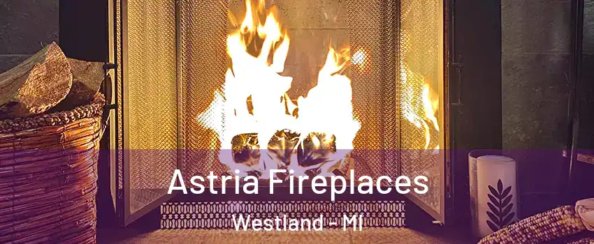  Astria Fireplaces Westland - MI