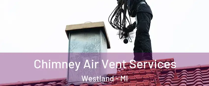 Chimney Air Vent Services Westland - MI