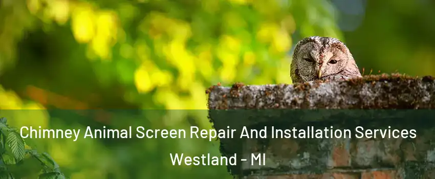  Chimney Animal Screen Repair And Installation Services Westland - MI