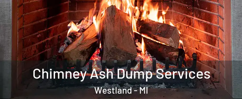  Chimney Ash Dump Services Westland - MI