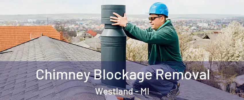  Chimney Blockage Removal Westland - MI