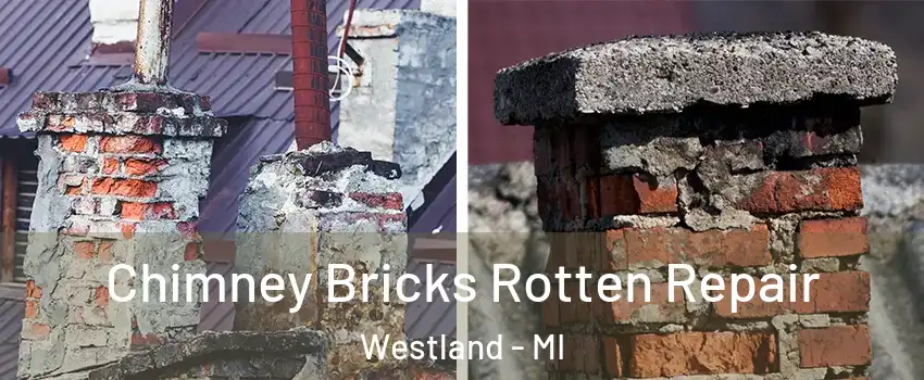  Chimney Bricks Rotten Repair Westland - MI