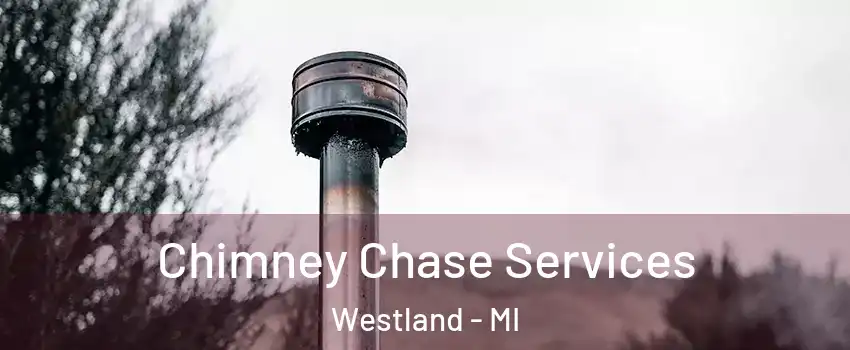  Chimney Chase Services Westland - MI