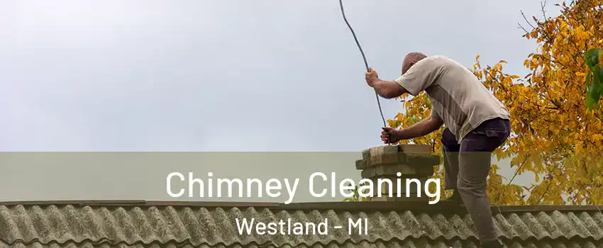 Chimney Cleaning Westland - MI