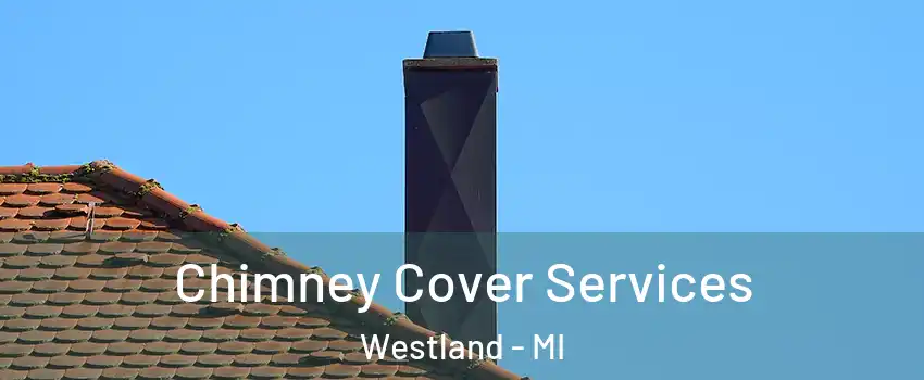  Chimney Cover Services Westland - MI