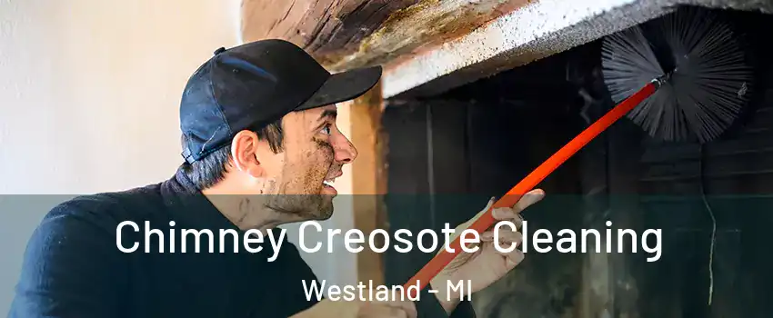  Chimney Creosote Cleaning Westland - MI