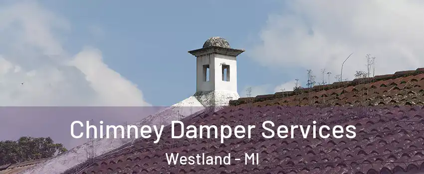  Chimney Damper Services Westland - MI