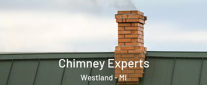  Chimney Experts Westland - MI
