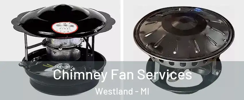  Chimney Fan Services Westland - MI