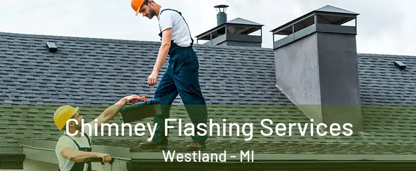  Chimney Flashing Services Westland - MI