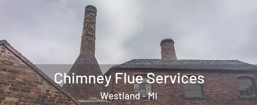  Chimney Flue Services Westland - MI