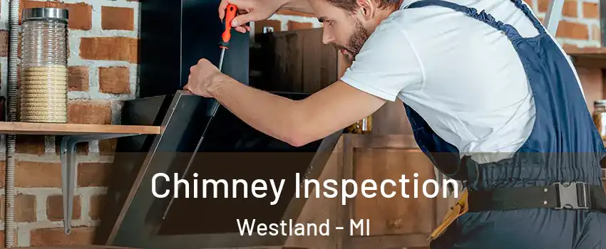  Chimney Inspection Westland - MI