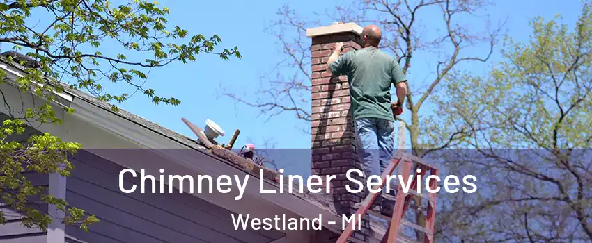  Chimney Liner Services Westland - MI