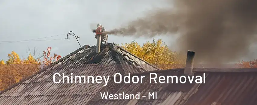  Chimney Odor Removal Westland - MI