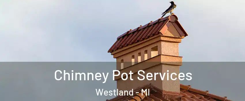  Chimney Pot Services Westland - MI