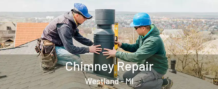  Chimney Repair Westland - MI