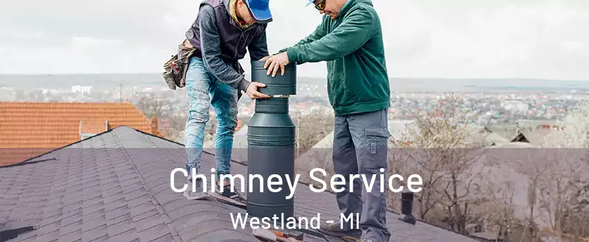  Chimney Service Westland - MI