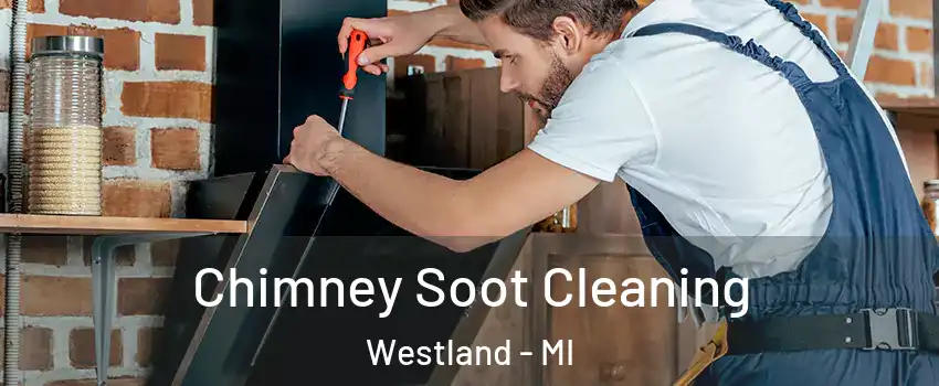  Chimney Soot Cleaning Westland - MI