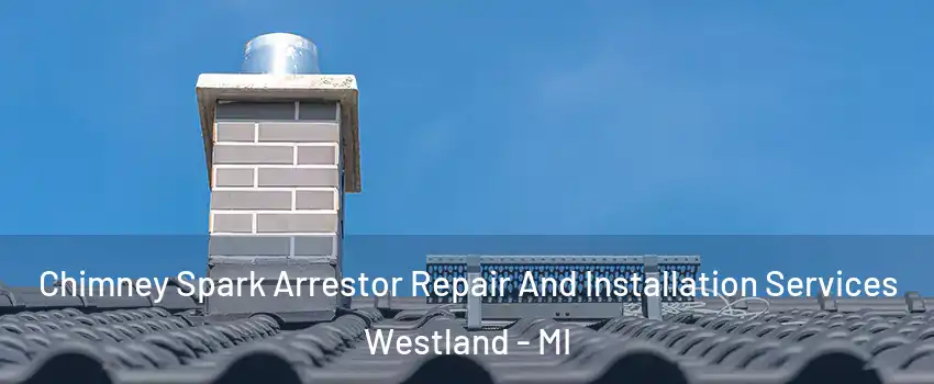  Chimney Spark Arrestor Repair And Installation Services Westland - MI