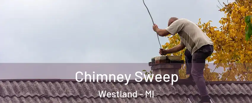  Chimney Sweep Westland - MI