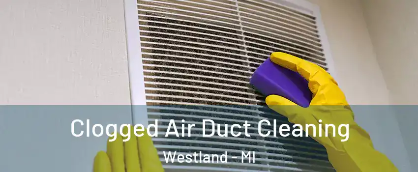  Clogged Air Duct Cleaning Westland - MI