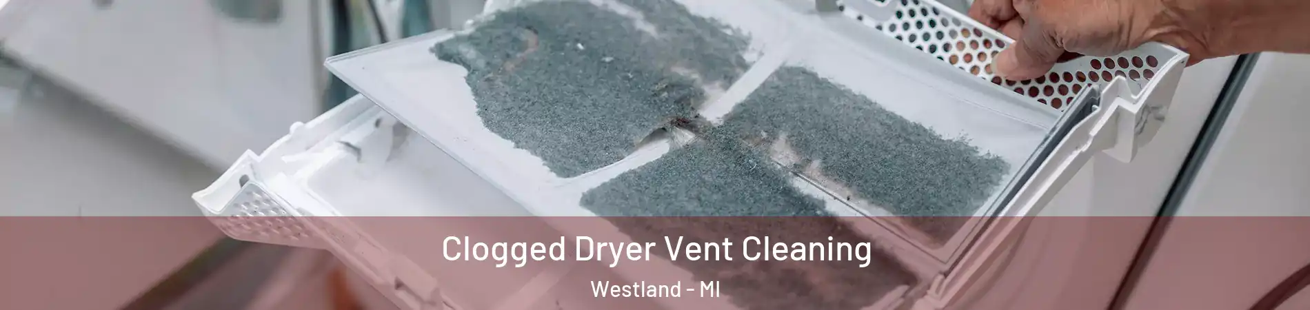  Clogged Dryer Vent Cleaning Westland - MI