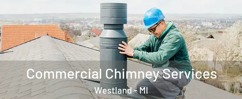  Commercial Chimney Services Westland - MI