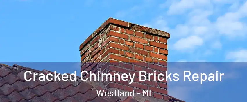  Cracked Chimney Bricks Repair Westland - MI