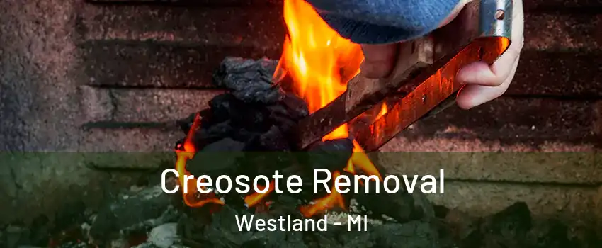  Creosote Removal Westland - MI