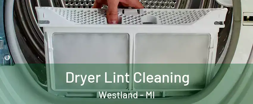  Dryer Lint Cleaning Westland - MI