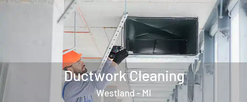  Ductwork Cleaning Westland - MI