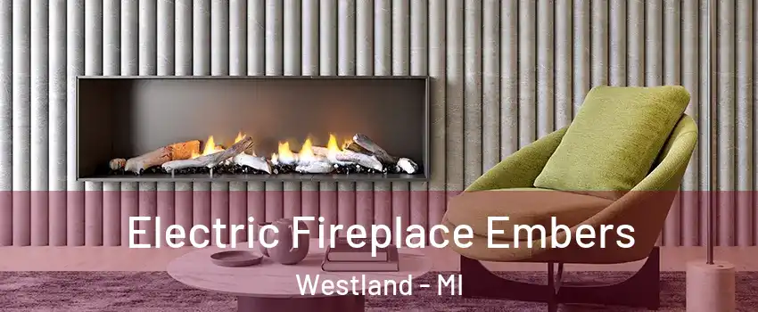  Electric Fireplace Embers Westland - MI