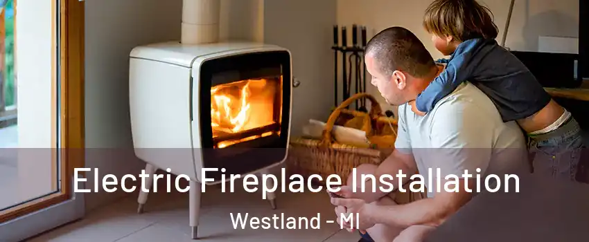  Electric Fireplace Installation Westland - MI