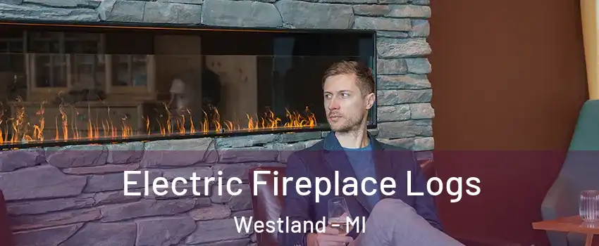  Electric Fireplace Logs Westland - MI