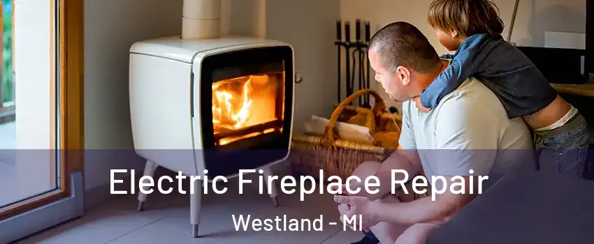  Electric Fireplace Repair Westland - MI