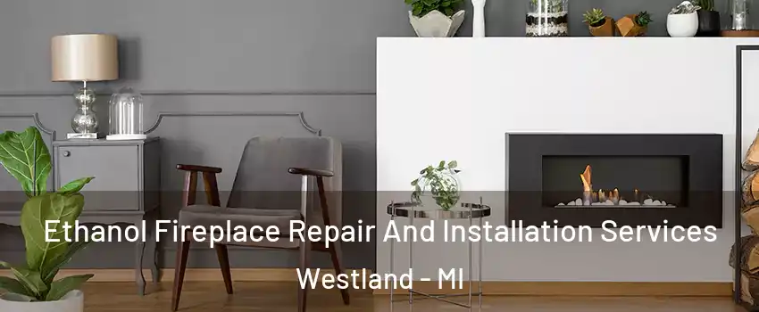  Ethanol Fireplace Repair And Installation Services Westland - MI