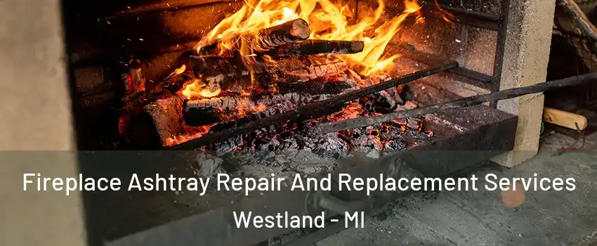  Fireplace Ashtray Repair And Replacement Services Westland - MI