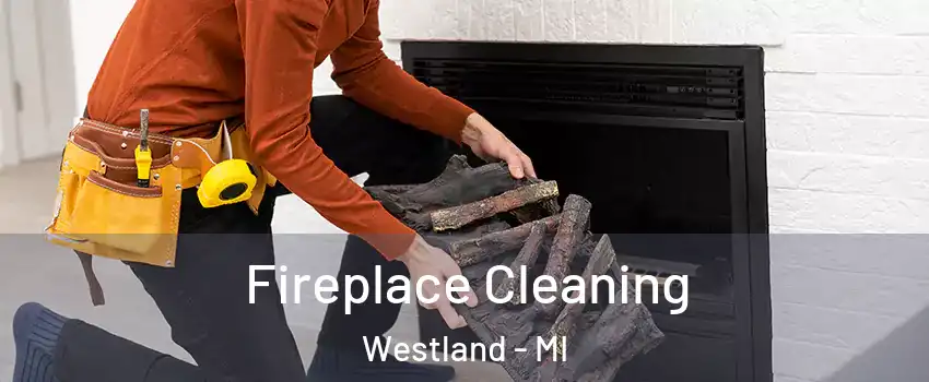  Fireplace Cleaning Westland - MI