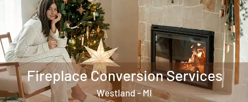  Fireplace Conversion Services Westland - MI