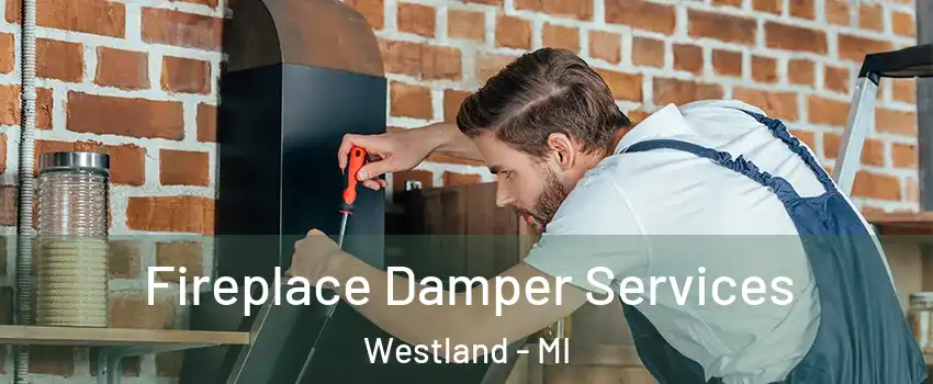  Fireplace Damper Services Westland - MI