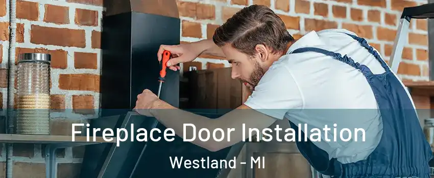  Fireplace Door Installation Westland - MI
