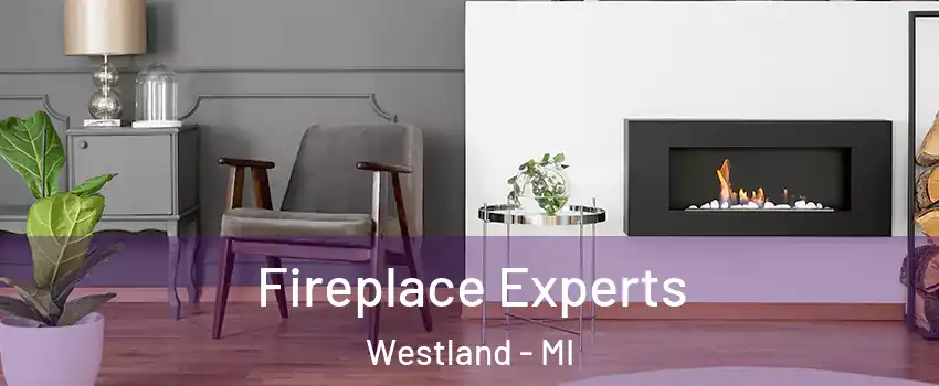  Fireplace Experts Westland - MI