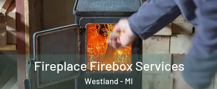  Fireplace Firebox Services Westland - MI