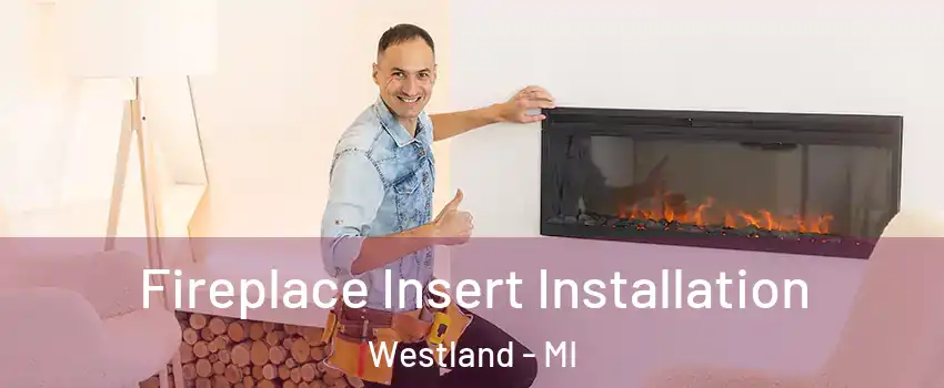  Fireplace Insert Installation Westland - MI
