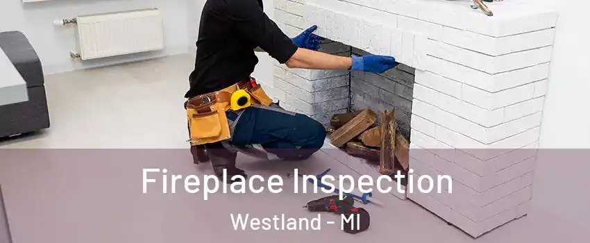  Fireplace Inspection Westland - MI