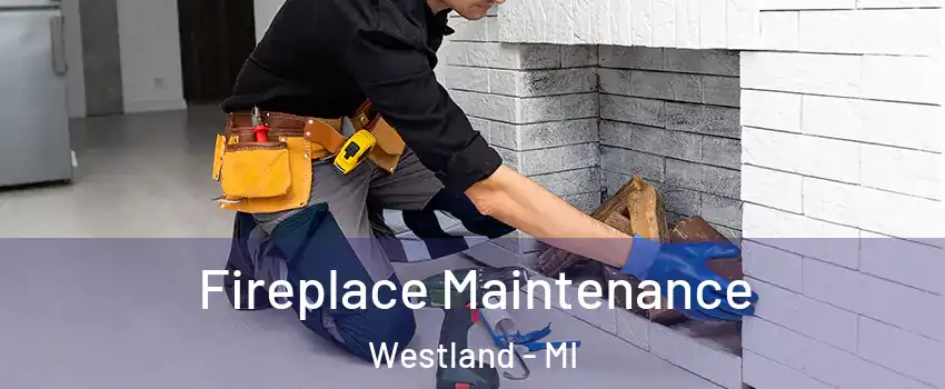  Fireplace Maintenance Westland - MI