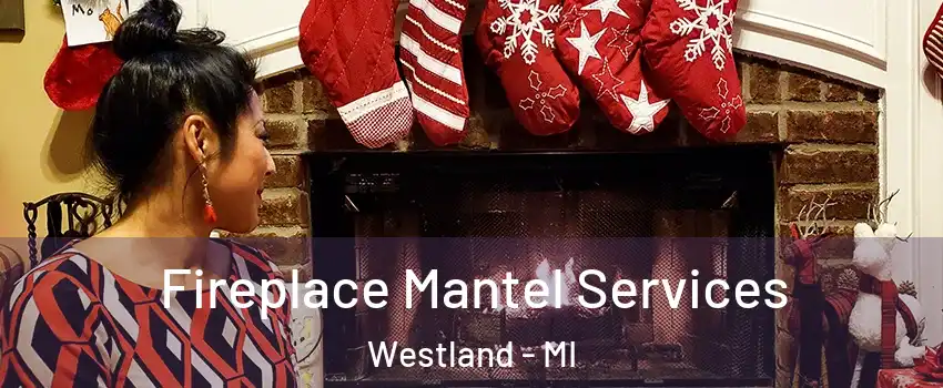  Fireplace Mantel Services Westland - MI