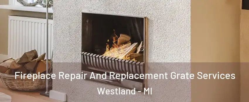  Fireplace Repair And Replacement Grate Services Westland - MI