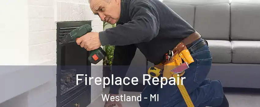  Fireplace Repair Westland - MI